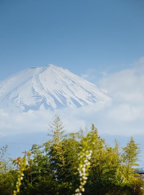 办公室影片 室影《未生》- 韩剧