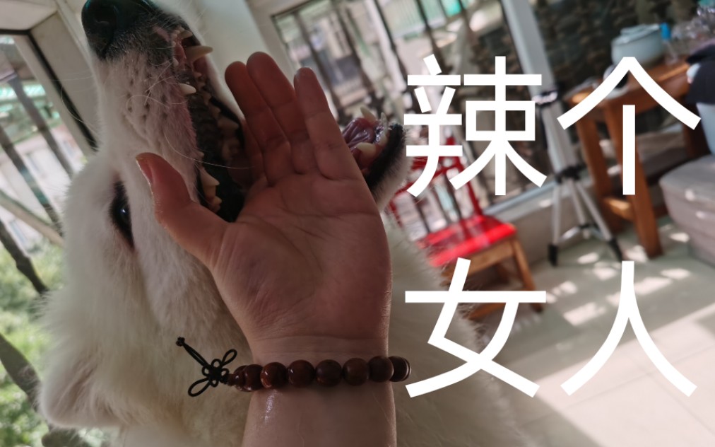 绿茶婊 但长期用户报告指出