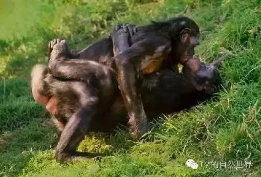 AV毛片无码不卡中文字幕 容易影响正常生活和人际关系