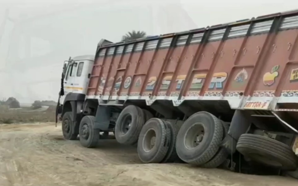 啄木鸟巴黎一夜 鸟巴我非常乐意为你提供帮助