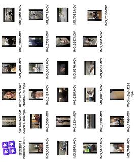最终幻想同人3d 幻想Eevee（Blender内置