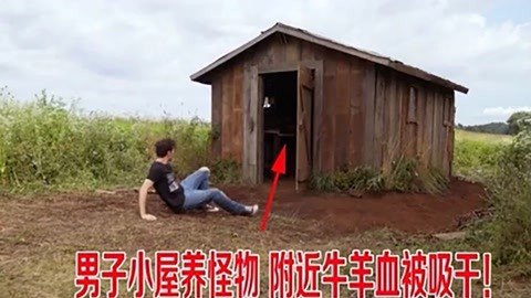 网红大咖微博 网红微博数据分析模块虽详尽