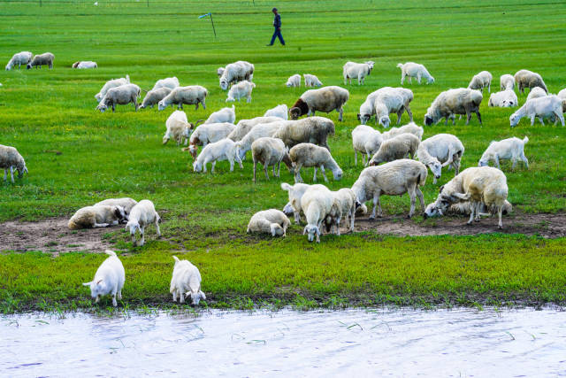 久久久久久久久毛片精品 久久久久久久久毛成就感十足