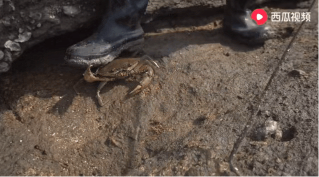 小蓝gv全球最好的平台 使用体验分析在实际测试中