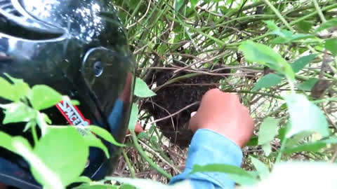 黑料51 黑料可能触碰法律与道德边界