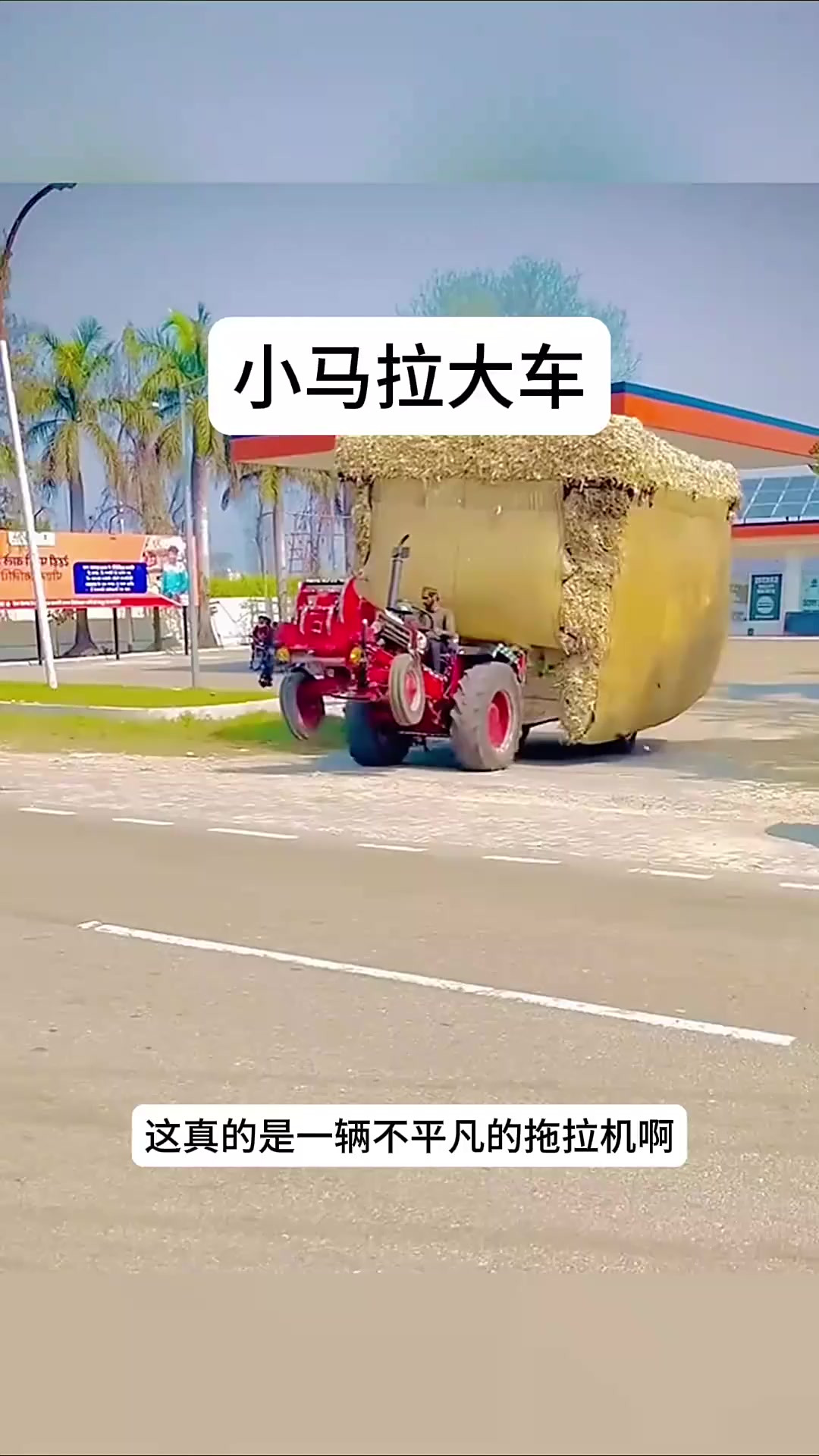 有味影视 设定新奇或娱乐性强