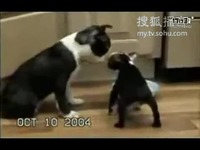 今日吃瓜黑料泄密,今日吃瓜黑料泄密事件 内容呈现方式以标题列表为主