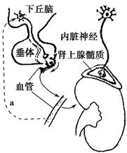 来 自 乌 克 兰 粉 +嫩 无 毛 小 幼 女 的 诱 惑