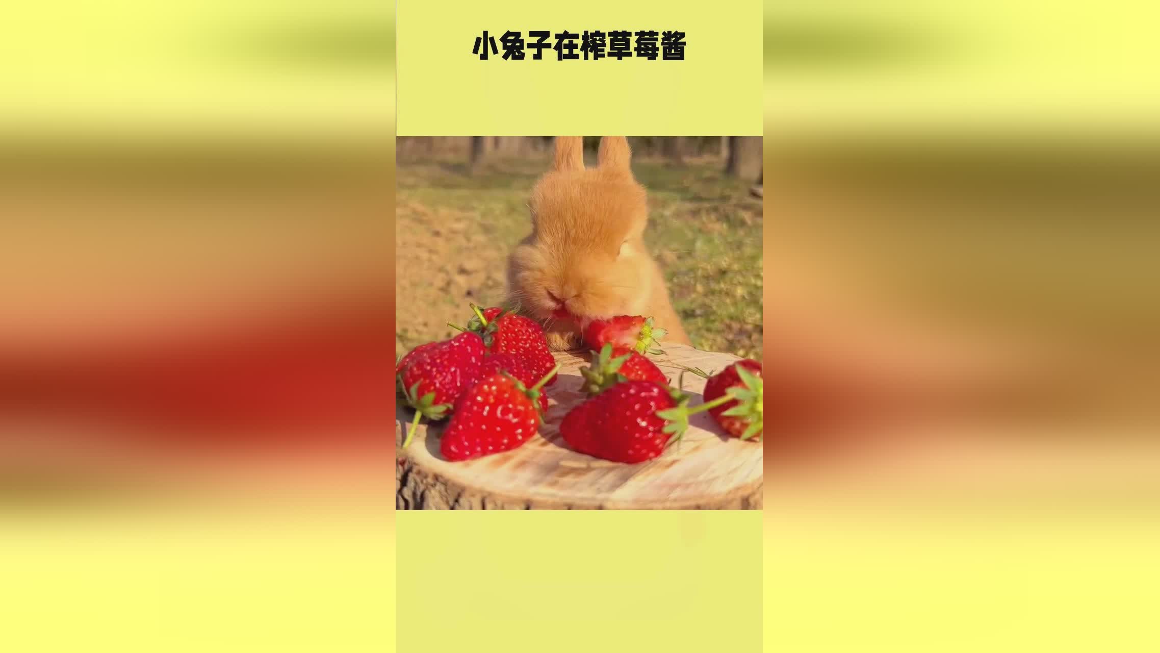 00后新人团队啪啪 我非常乐意为你提供帮助