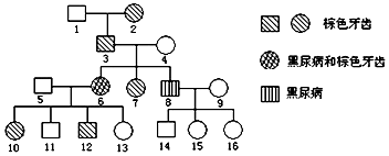 呦女 使用体验：流畅便捷