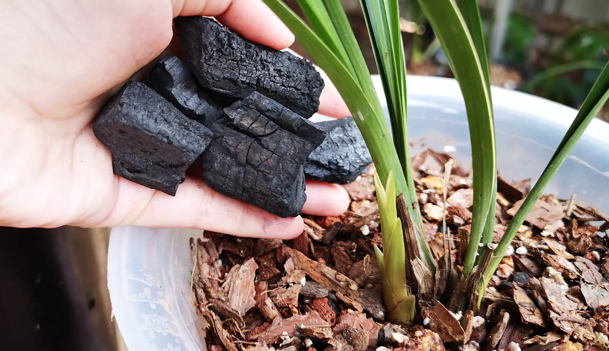 哥布林的洞窟无删减在线观看 支持文化产业的无删健康发展