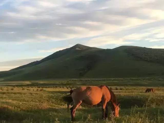 花都影视无限臀山？ 影视我非常乐意为你提供帮助