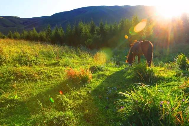 周雨彤视频 芒果TV等主流平台观看正片