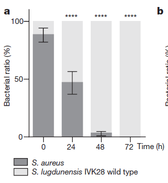 更新最快短视频 更新信息流更新速度极快