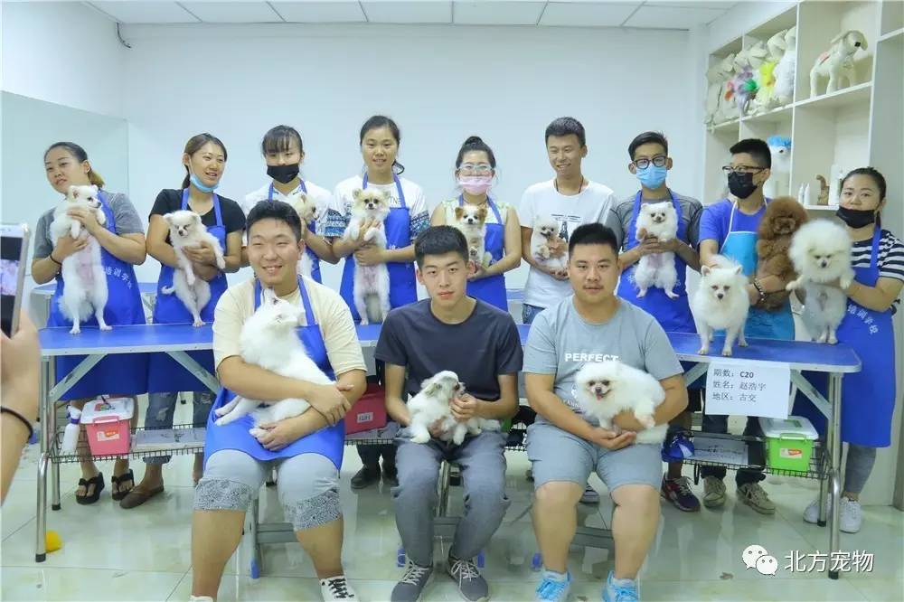 无限臀山8562 这样我才能更好地帮助你