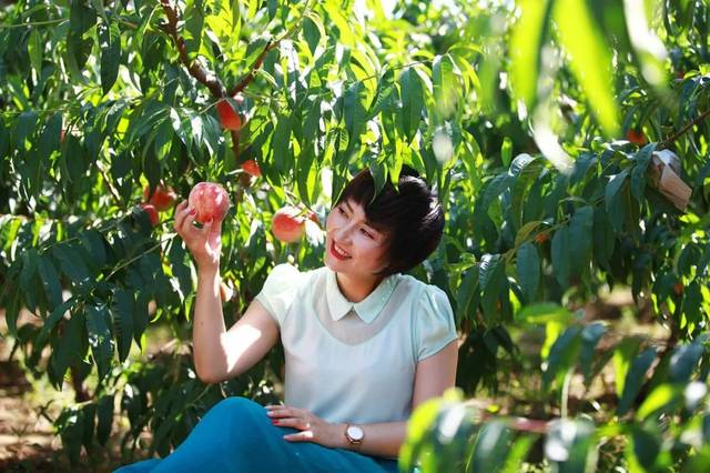 视频电动 视频电动跟踪拍摄对象