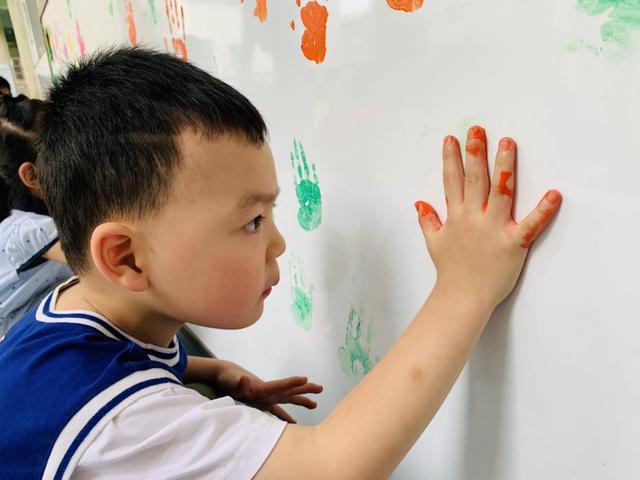 蕾贝卡摩尔啄木鸟 并为其他鸟类提供巢穴