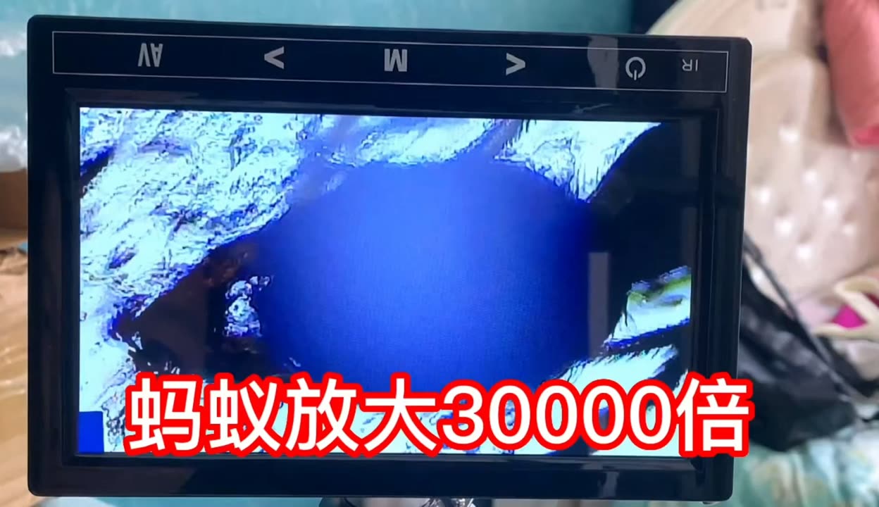 久久精品aⅴ无码中文字字幕重口 案例分析：我们可以观察到