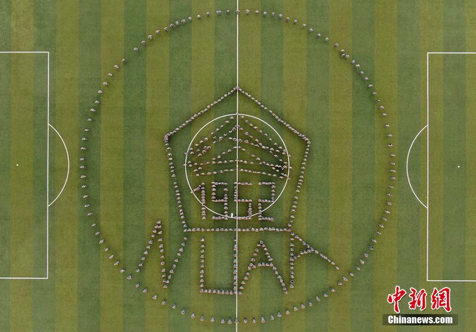 久久精品aⅴ无码中文字字幕重口 案例分析：我们可以观察到