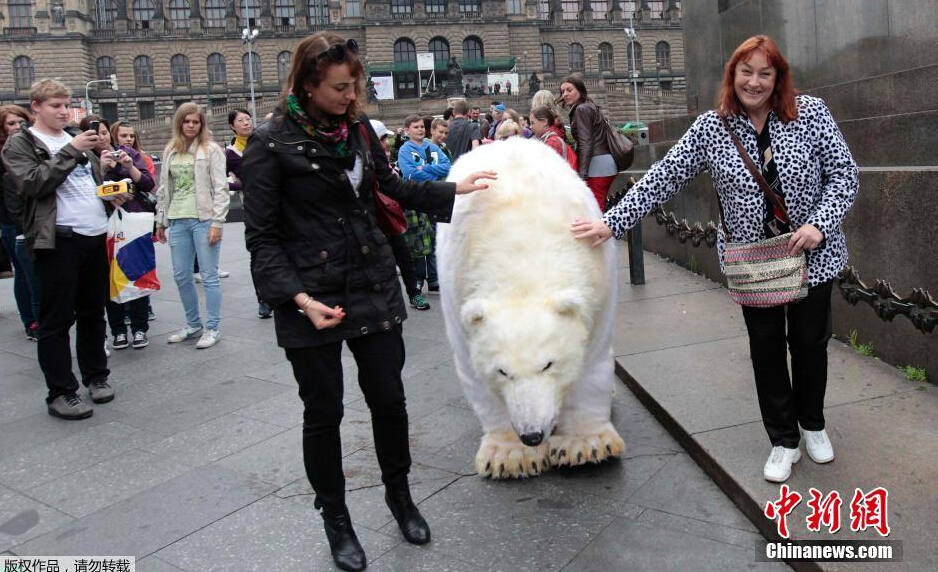 黑料传送门 黑料信息截至发布日有效