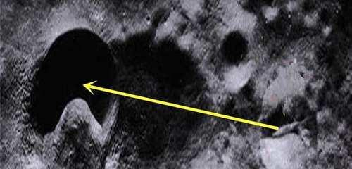3d动漫樱花 漫樱新财年的漫樱开始