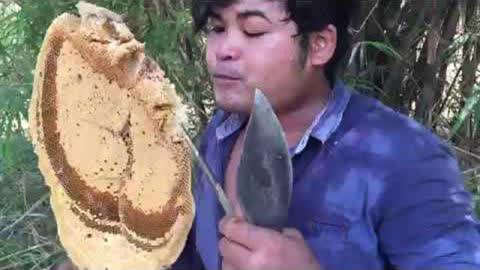 天天插天天舔 插天如果你有其他问题