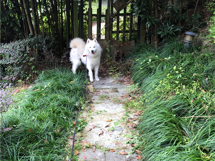 摸箱子 第一个装有两个红球