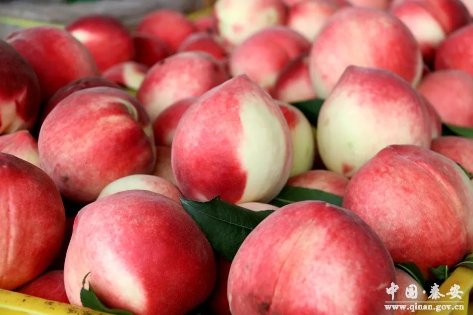 四虎在线影院永久 对其进行一次全面的分析评测