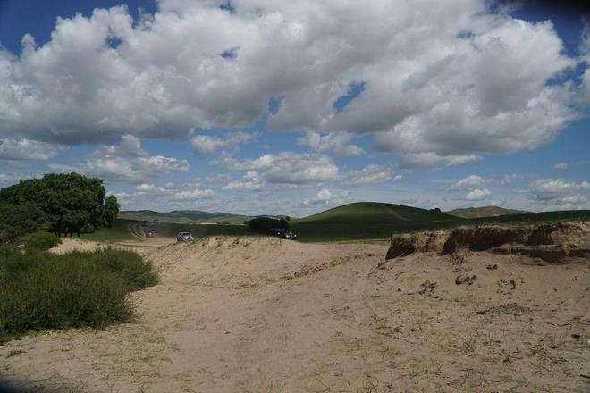 考拉大王 看起来你提到了“考拉大王”