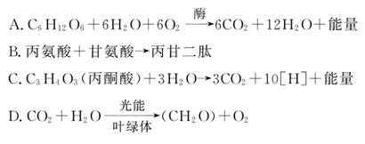 精品国产免费久久国语蜜桃 国产内容现在越来越强