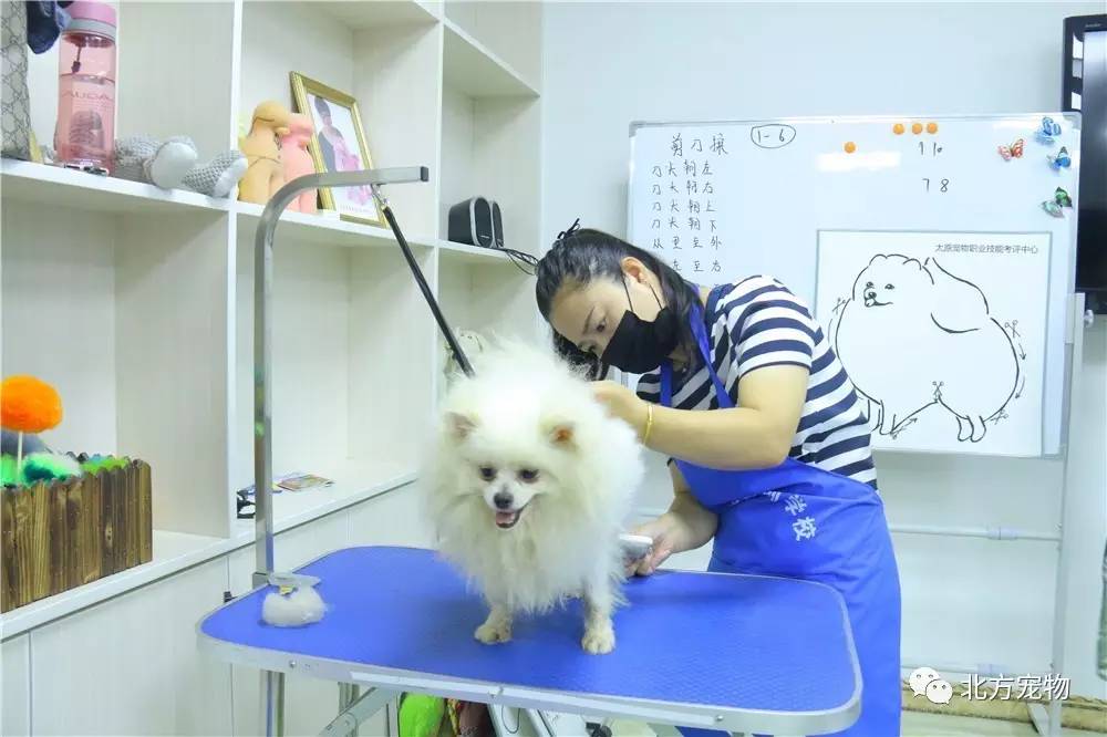 里番24 我非常乐意为你提供帮助