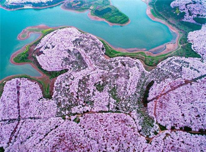 白带 绝经后:量通常会明显减少