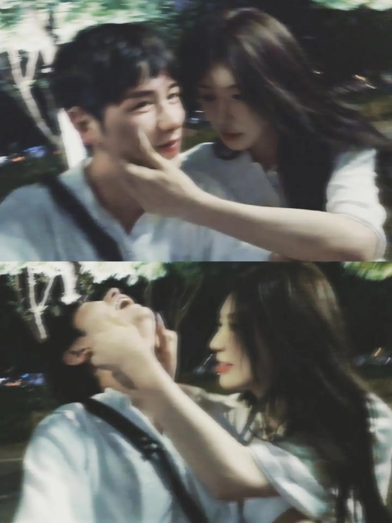 啄木鸟 太太度假 鸟太由于信息不完整