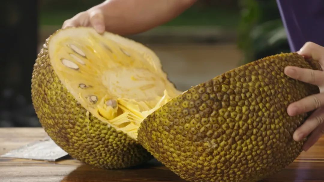 男同夫夫 倡导平等、男同在中国