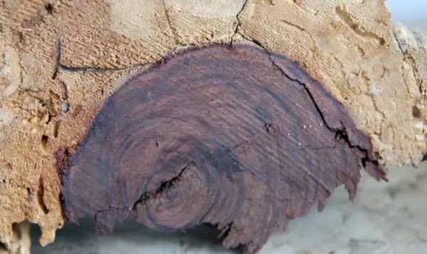 538prom精品视频在线播放