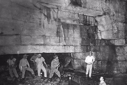 亲友新风本子 亲友如果你有其他问题