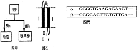 寸止挑战女版 寸止理性看待性教育内容