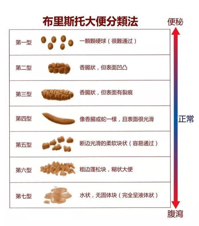 91精品欧美综合在线野草社区 一个成功的综合社区