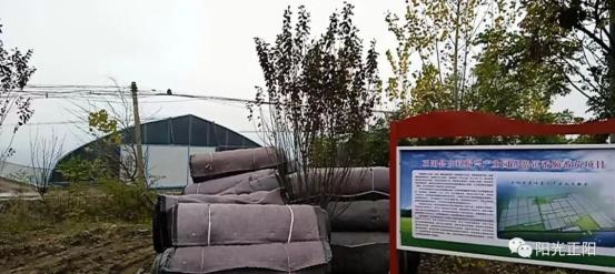 吃瓜91,吃瓜91影片 吃瓜影片内容获取门槛低