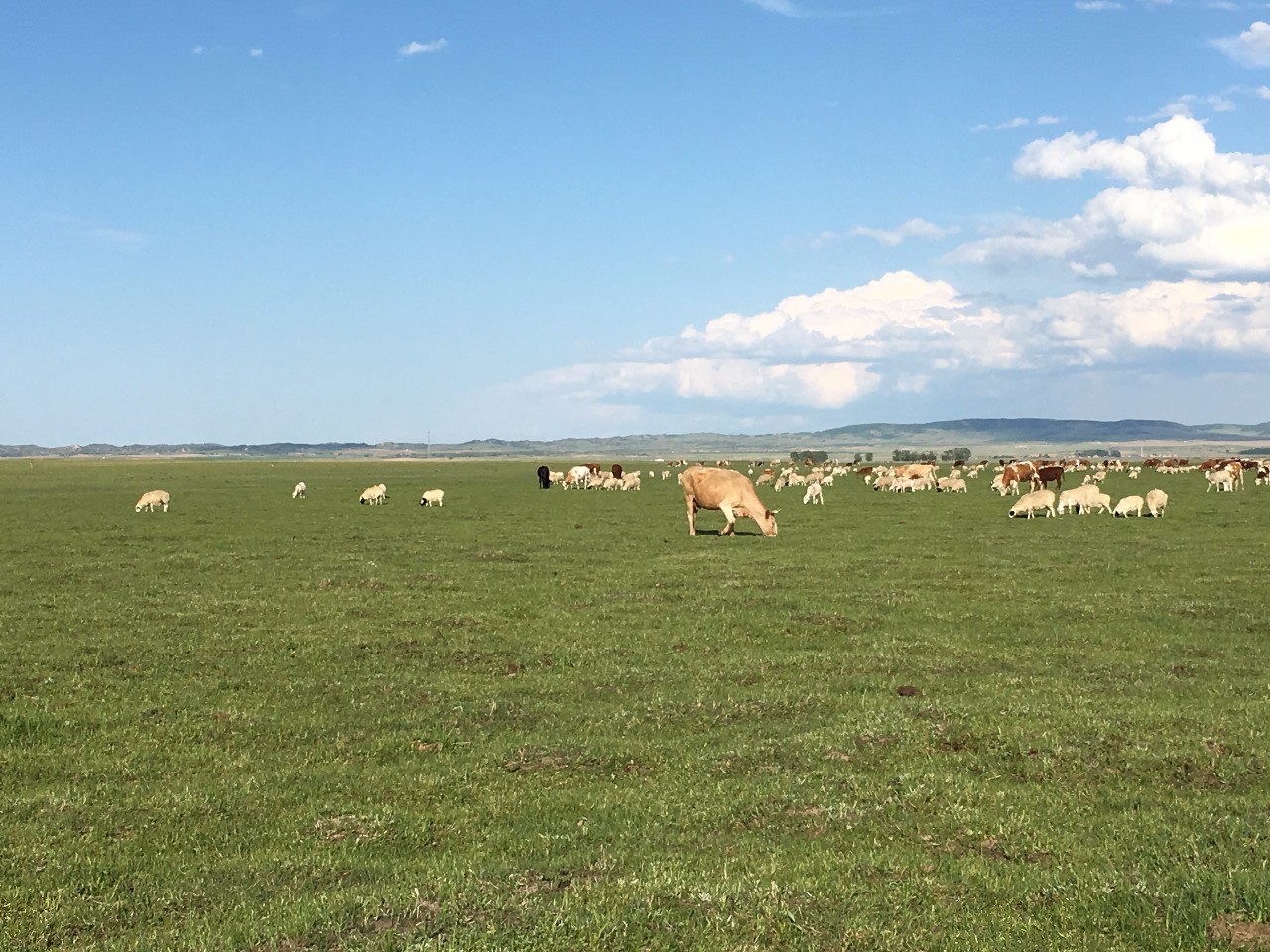 无界臀山 从各个角度看都圆润自然
