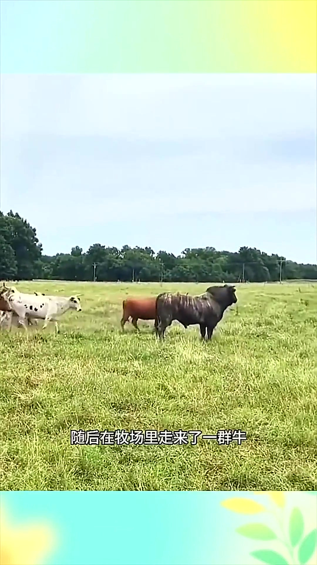 欧美韩国日本精品一区二区三区 发掘隐藏的韩国宝藏