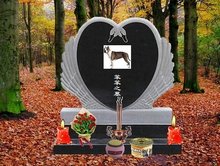 爆料网暗网 数据或内部消息为主