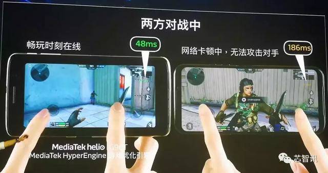 常青树前汉服妹