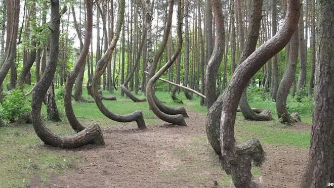 久久亚洲国产精品亚洲老地址 