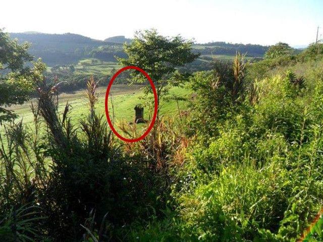 青蛙视频 为了更准确地帮助您