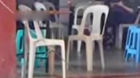 幼幼在线观看 保护儿童是社会的首要责任