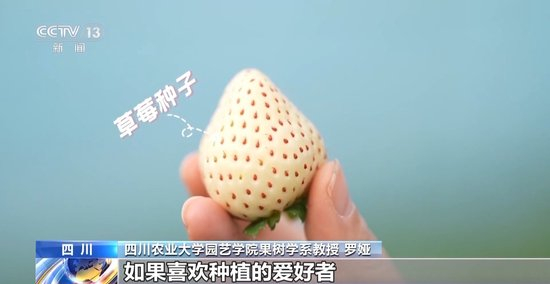 影片数据 根据您想了解的具体方向