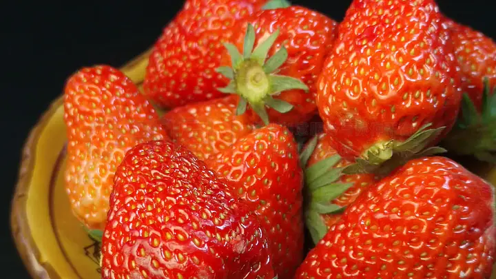 吴梦梦电视剧在线