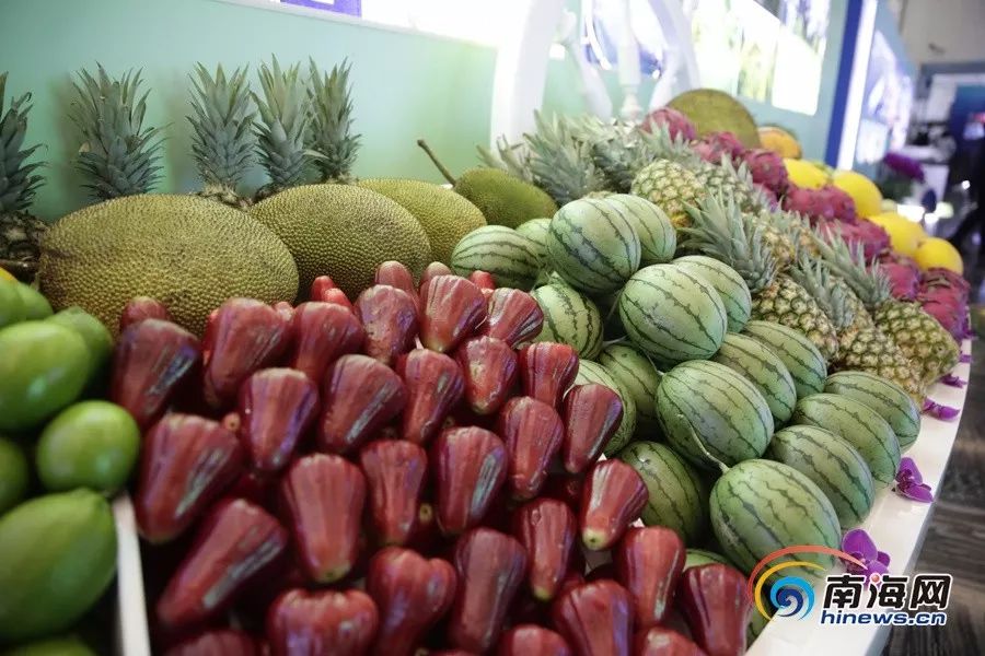 51每日大赛在线入口 每日积累参赛经验的大赛用户