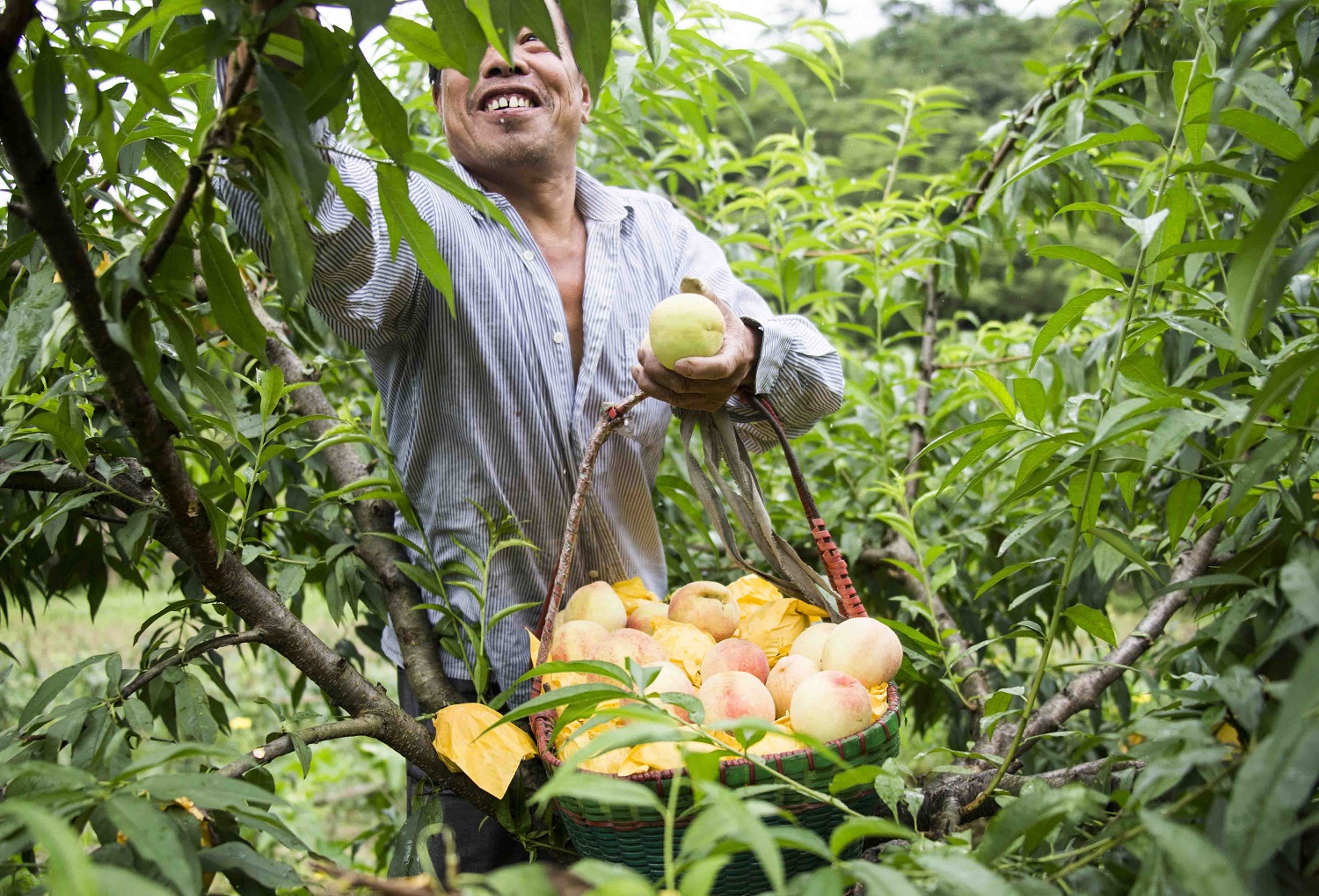 每日大赛反差 每日“程序员与芭蕾”）
